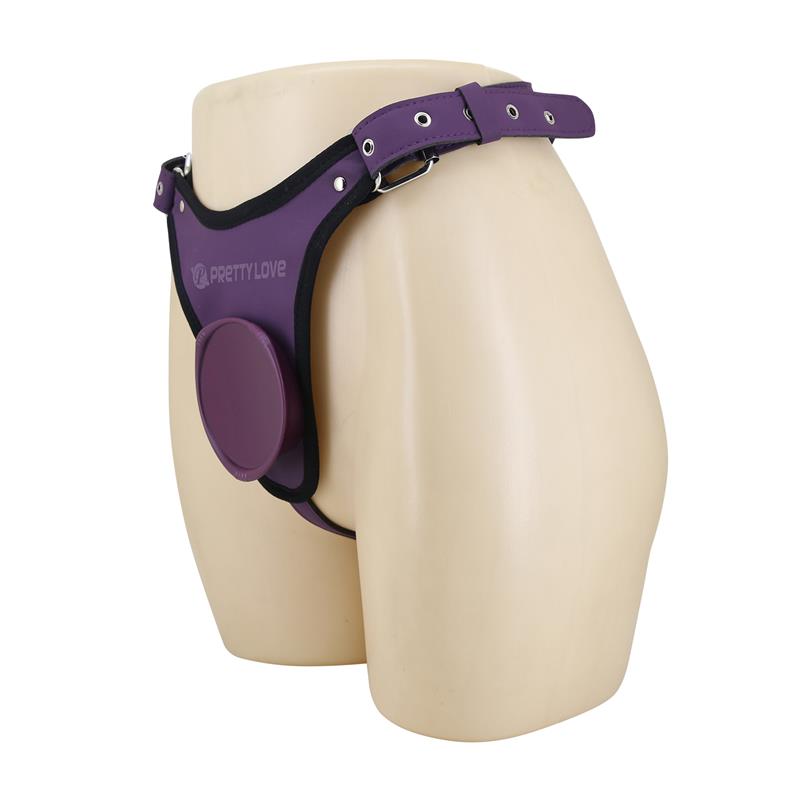 Caludio III Arnes Universal Purpura